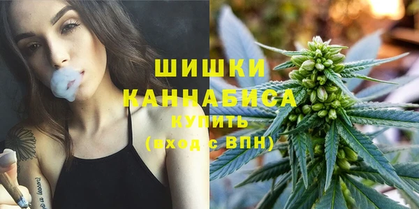 spice Абаза