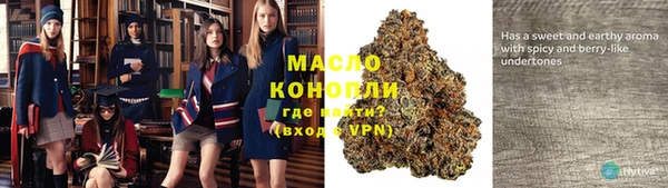 трава Корсаков