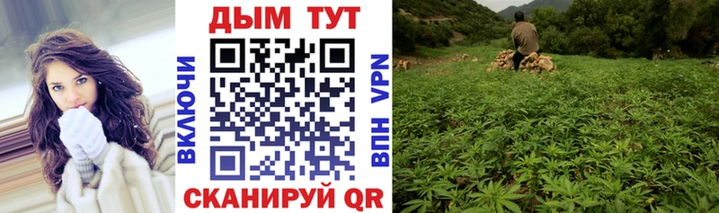 Канабис White Widow  Арамиль 